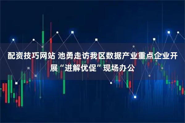 配资技巧网站 池勇走访我区数据产业重点企业开展“进解优促”现场办公