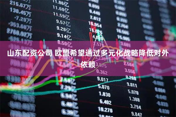 山东配资公司 欧盟希望通过多元化战略降低对外依赖